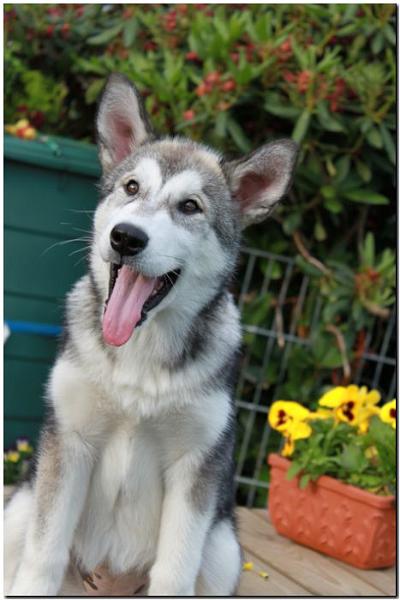 Onn 14 Wochen alt 2.jpg